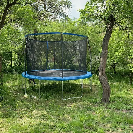 Spacious With Idyllic Orchard